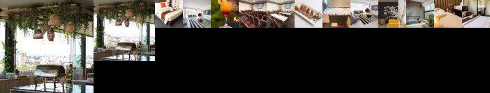 Palmetto Hotel Business San Miguel