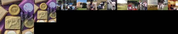 Honeycomb Valley Farm