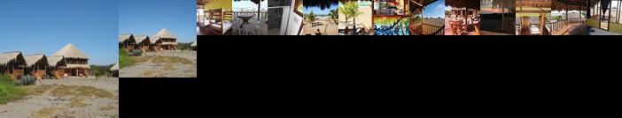 Surfing Turtle Lodge