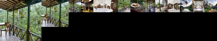 DD Ubud Jungle Villa