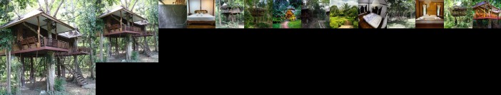 Baan Khao Sok Resort