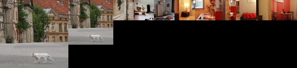 Vintage Anna Apartment