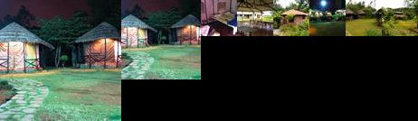 Vanaprastha Backpackers Hostel