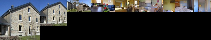 L'Ecureuil a la lisiere de la foret