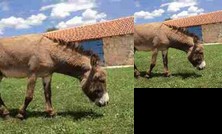 Country House Marica Gaj