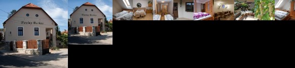 Paulay Borhaz es Vendeghaz