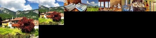 Noir Pinot Bed&Breakfast