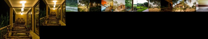 Into The Wild Eco Resort