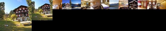 Ferienhaus Chalet Riedji