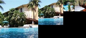 Meicer Palmier Huatulco