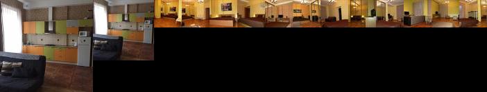 Valdemaras Apartment 91