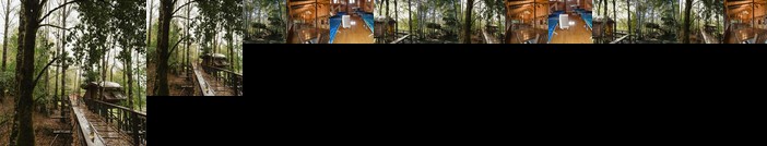 Huilo Huilo Canopy Village