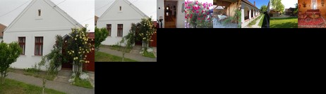 Hanytunder Vendeghaz