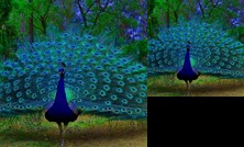 Ferndale Country Retreat