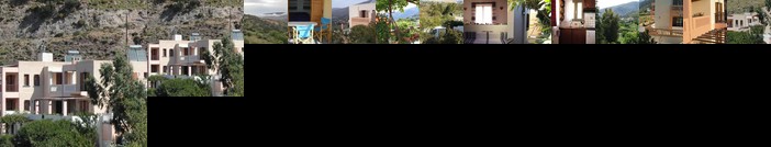 Eriki Studios & Apartments