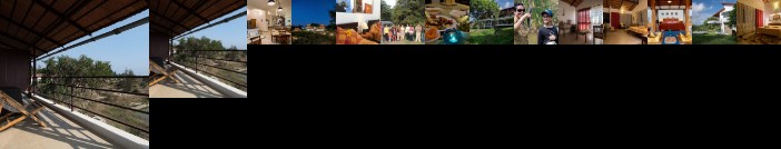 Dhole's Den Bandipur