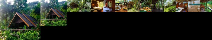 Khaosok Riverside Cottages