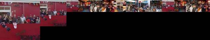 Obviouzly Armchair Backpackers & Pub