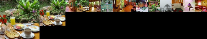 Cabanas Armonia y Jardin de Orquideas