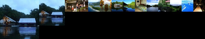 Pacific Treelodge Resort