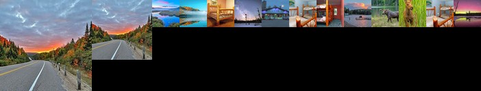 The Mad Musher - Hostel