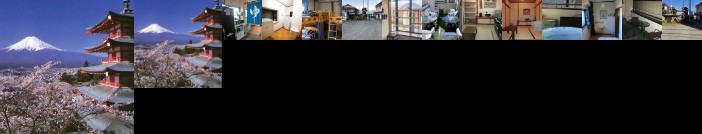 Mt Fuji Hostel Michael's