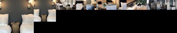 Ster Logies Leeuwarden / De Roos