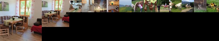 Bauernhof Pension Juri