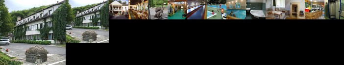 Erdofenye Kastely Szallo