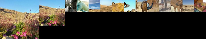 Succah in the Desert