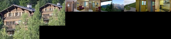 Chalet Weidli