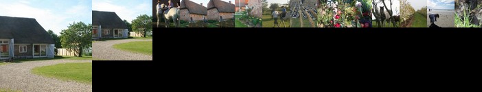 Fæbrogaard Apartment