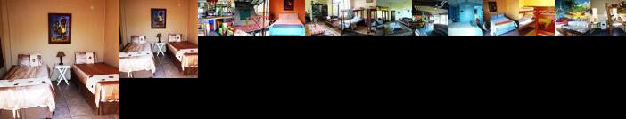 Jungle Monkey Backpackers