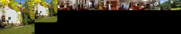 Nemeth Tanya Vendeghaz