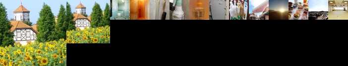 Business Green Hotel Hino