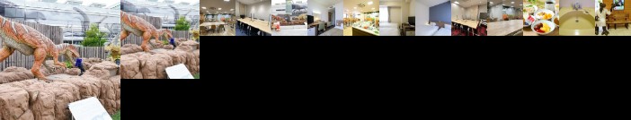 Hotel Econo Fukui Station