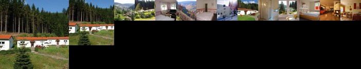 Pension Am Waldesrand