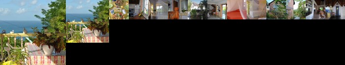 Villa Caribbean Dream