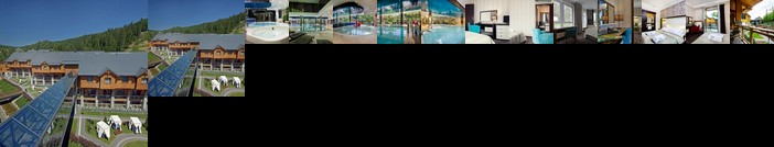 Hotel Czarny Potok Resort SPA & Conference