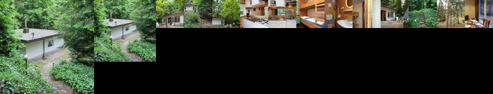 Richard Dilsen-Stokkem