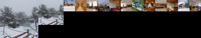 Royal Park Hotel Gulmarg