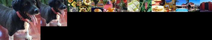 Janela de Marcia Bed and Breakfast