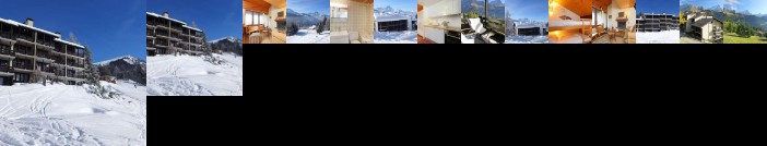 Apartment Les Petites Maraiches II Alpe Des Chaux