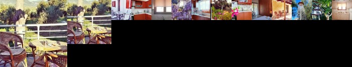 Irini Studios Zakynthos