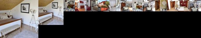 City House Apartments