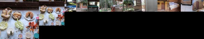 Pousada Arvore Centenaria