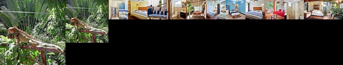 Principe Del Pacifico