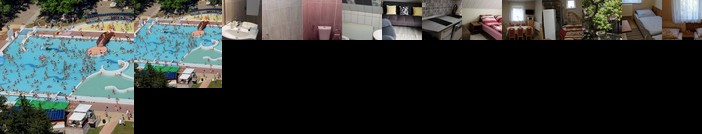 Napraforgo Vendeghaz