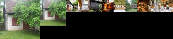 Myrtus Pince es Vendeghaz