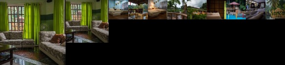 Stefanie Grace Paradise Inn